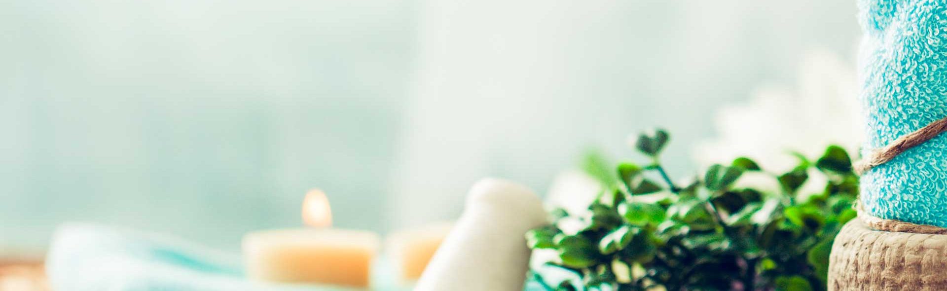 A soft white teddy bear on a couch with green plants nearby.