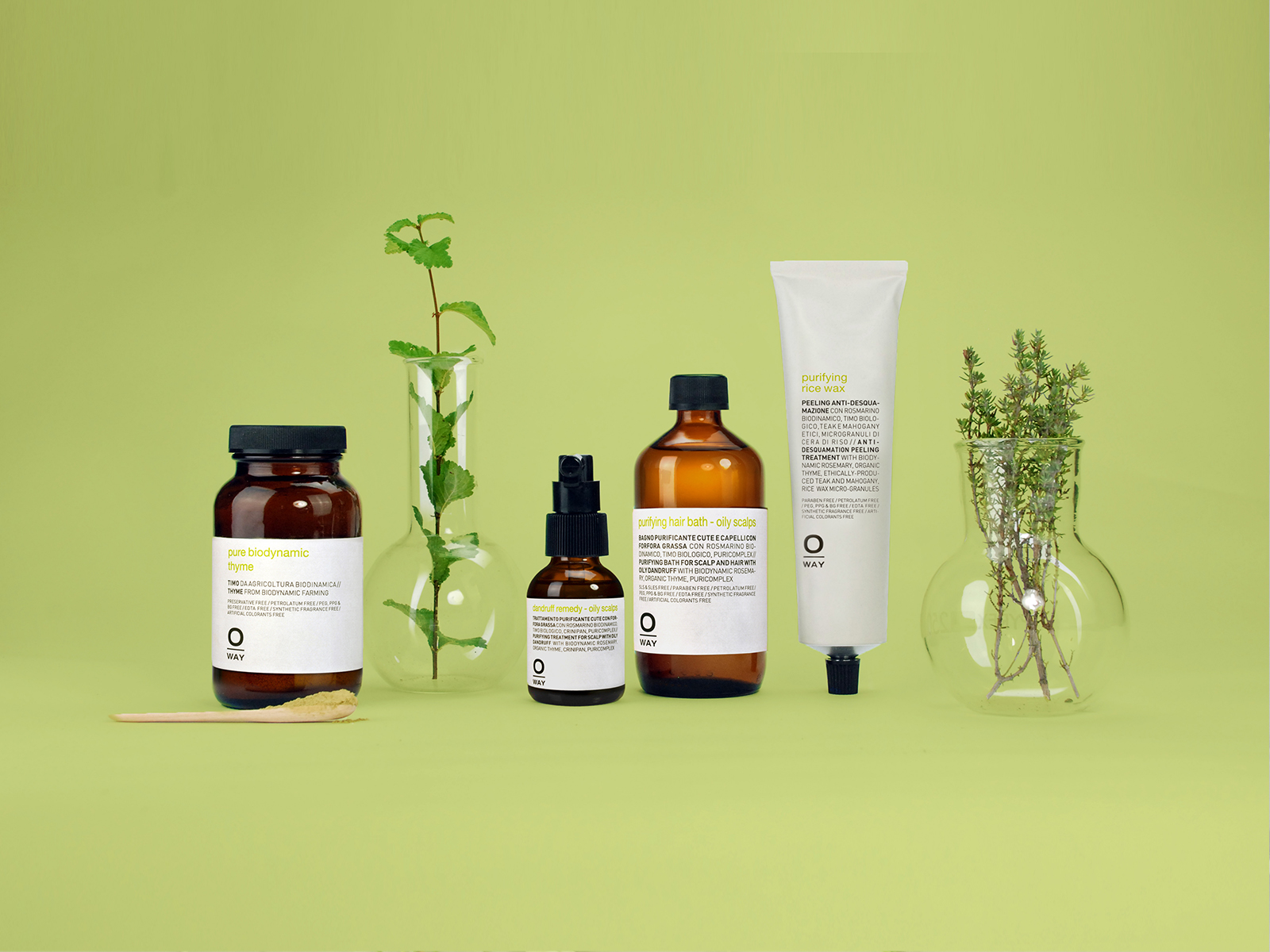Aesthetic display of skincare bottles and fresh herbs on a green background. Aesthetic display of skincare bottles and fresh herbs on a green background.